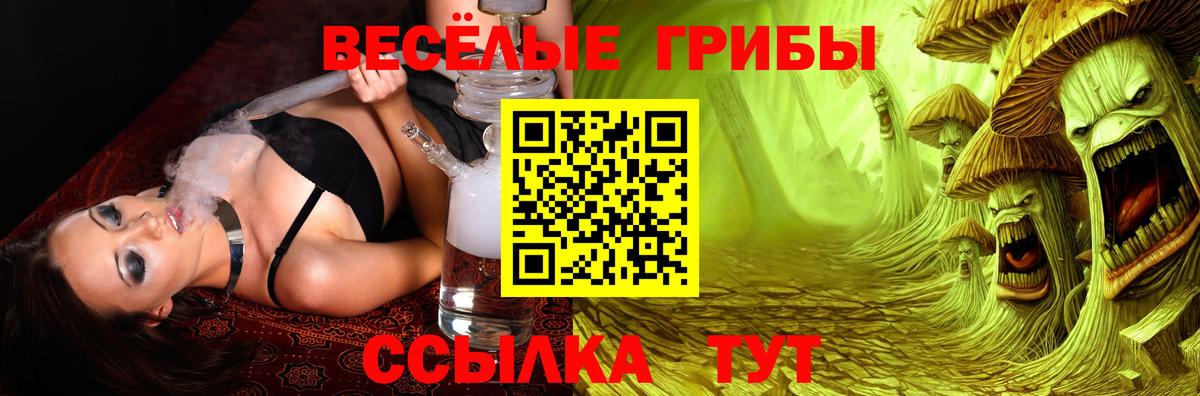 ГАШ Чайковский