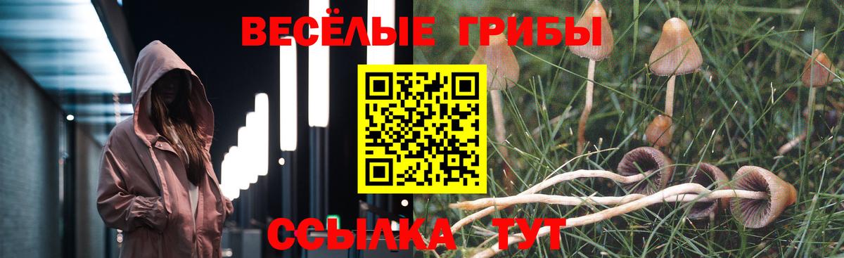 Галлюциногенные грибы Magic Shrooms  Вход с VPN  Чайковский  купить закладку  Псилоцибиновые грибы GOLDEN TEACHER 