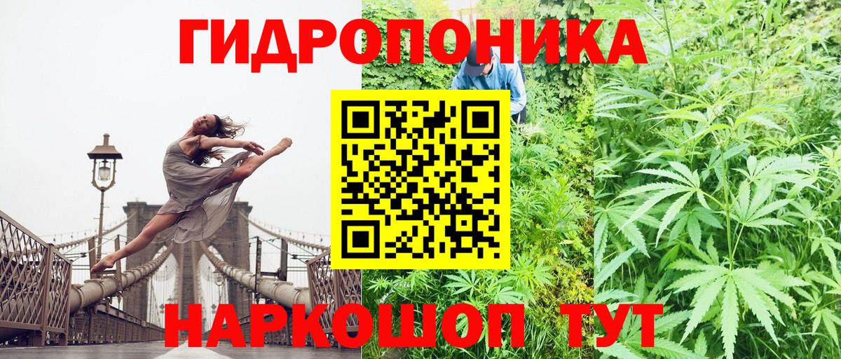 Марихуана Ganja  Вход с VPN  Чайковский  Шишки марихуана Ganja  Каннабис SATIVA & INDICA 